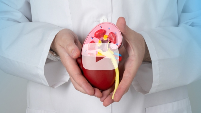Chronic Kidney Disease