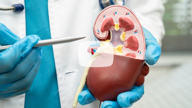 Kidney Disease in Tasmania