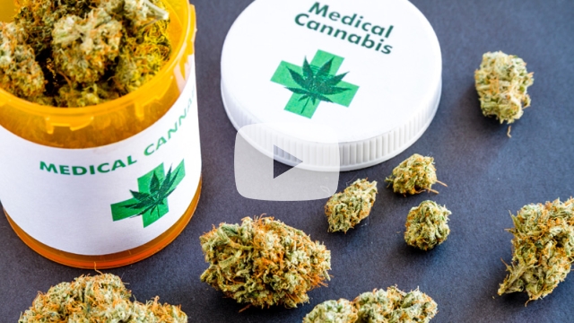 Medicinal Cannabis