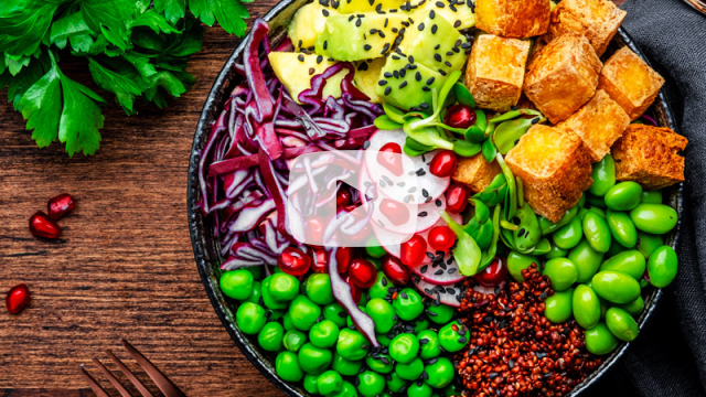 The gut, brain and mental health